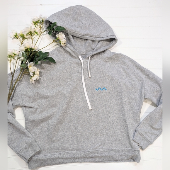 Madewell Gray Hoodie with Blue Detail - Picture 1 of 3